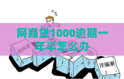 白条贷1000逾期一年半怎么办