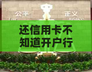 还信用卡不知道开户行怎么还款-还信用卡不知道开户行怎么还款呢