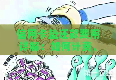 信用卡垫还款费用详解：如何计费、收费标准及注意事项一览