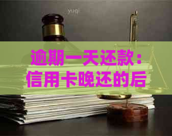 逾期一天还款：信用卡晚还的后果与应对策略