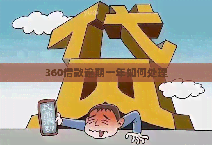 360借款逾期一年如何处理