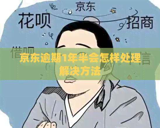京东逾期1年半会怎样处理解决方法