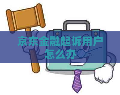 京东金融起诉用户怎么办