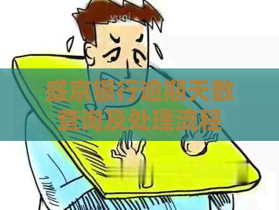 盛京银行逾期天数查询及处理流程
