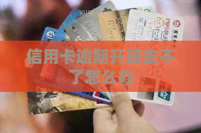 信用卡逾期开庭去不了怎么办