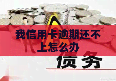 我信用卡逾期还不上怎么办