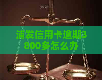 浦发信用卡逾期3800多怎么办