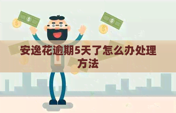 安逸花逾期5天了怎么办处理方法