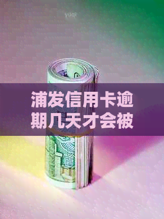 浦发信用卡逾期几天才会被罚款