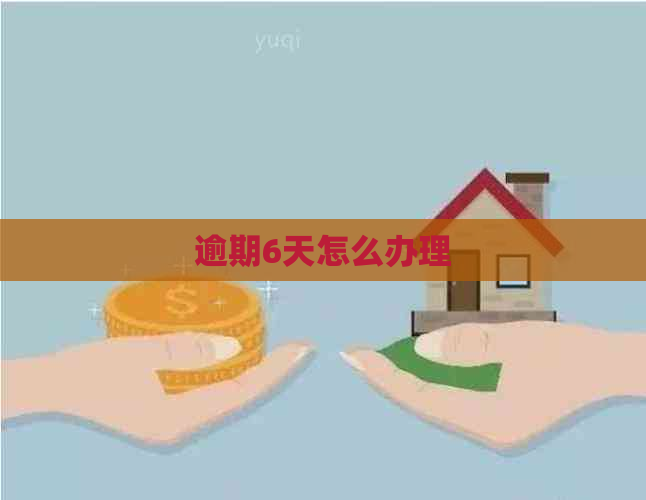 逾期6天怎么办理