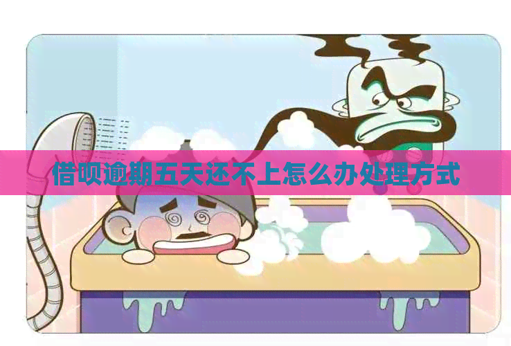 信用卡逾期五天还不上怎么办处理方式