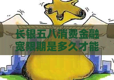 长银五八消费金融宽限期是多久才能申请