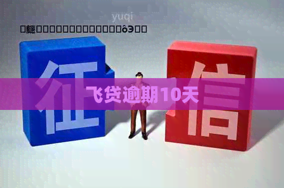 飞贷逾期10天