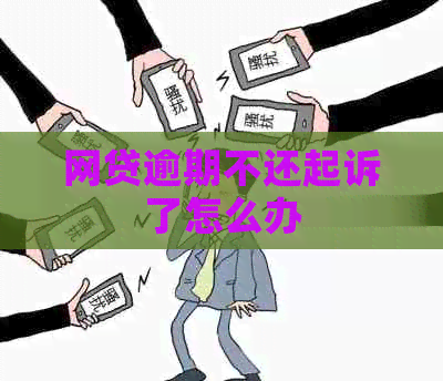网贷逾期不还起诉了怎么办