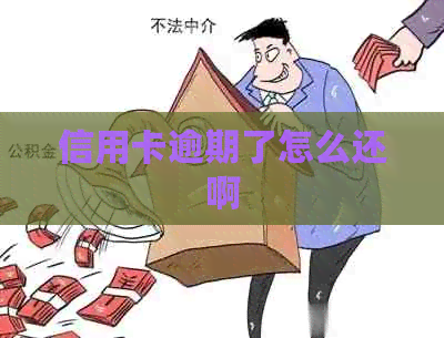 信用卡逾期了怎么还啊