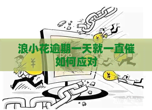 浪小花逾期一天就一直催如何应对