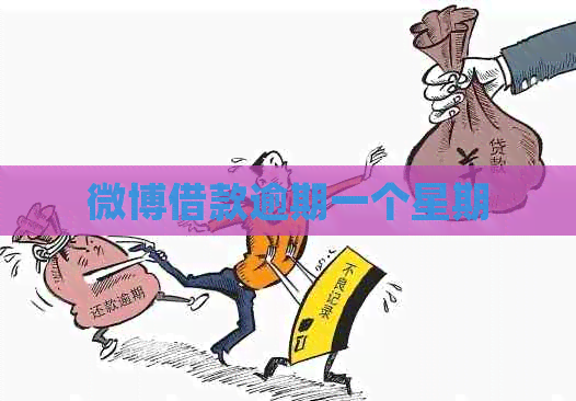 微博借款逾期一个星期
