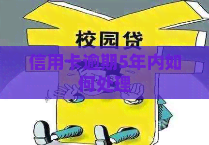 信用卡逾期5年内如何处理