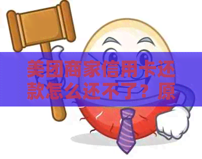 美团商家信用卡还款怎么还不了？原因及解决办法