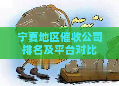 宁夏地区公司排名及平台对比