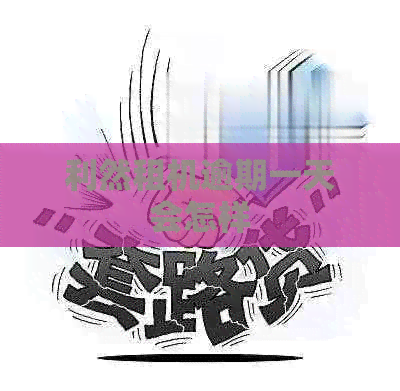 利然租机逾期一天会怎样