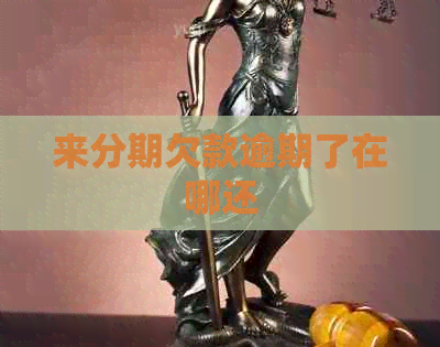 来分期欠款逾期了在哪还