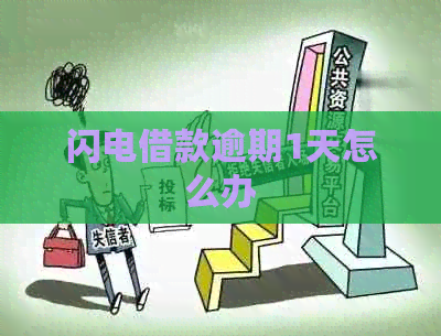 闪电借款逾期1天怎么办