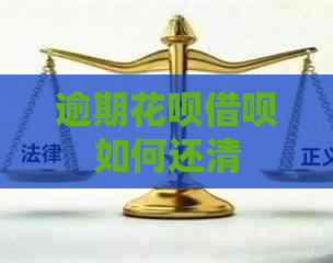 逾期白条信用卡如何还清