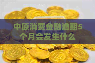 中原消费金融逾期5个月会发生什么