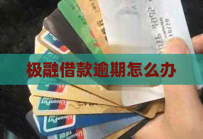 极融借款逾期怎么办