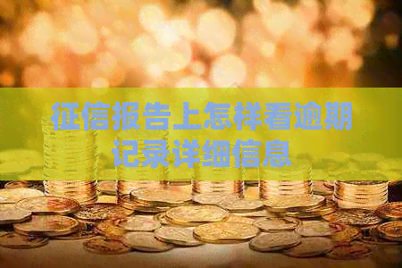 报告上怎样看逾期记录详细信息