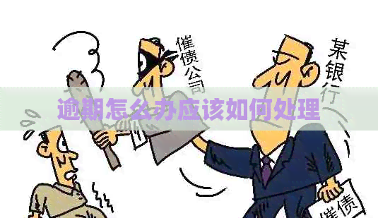 逾期怎么办应该如何处理
