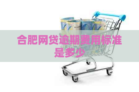 合肥网贷逾期费用标准是多少