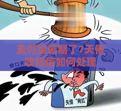 信用卡逾期了7天短信如何处理