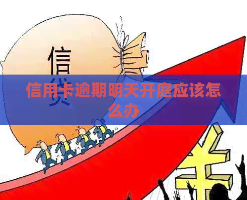 信用卡逾期明天开庭应该怎么办