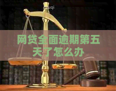网贷全面逾期第五天了怎么办