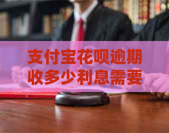 信用卡白条逾期收多少利息需要了解哪些情况