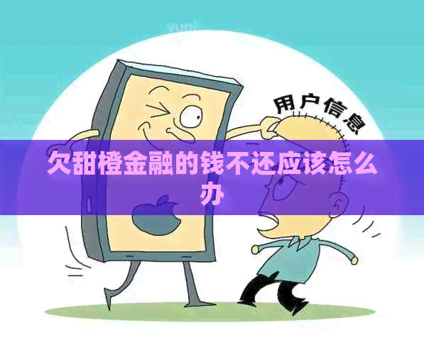 欠甜橙金融的钱不还应该怎么办