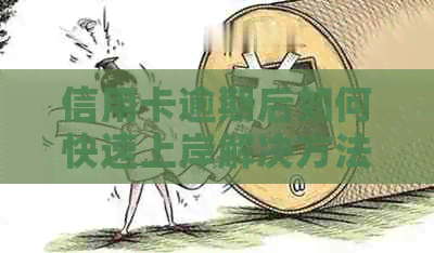 信用卡逾期后如何快速上岸解决方法