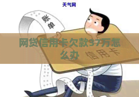网贷信用卡欠款37万怎么办