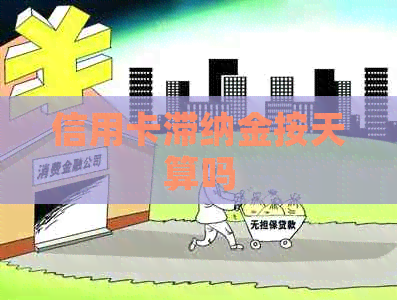 信用卡滞纳金按天算吗
