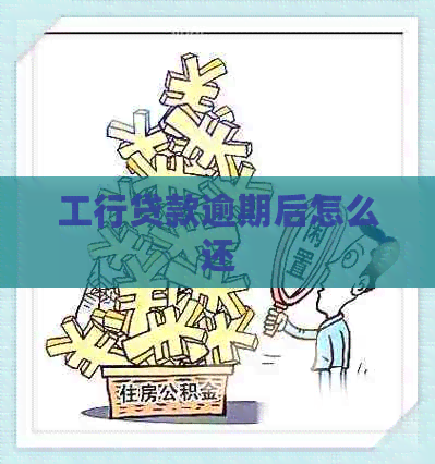 工行贷款逾期后怎么还