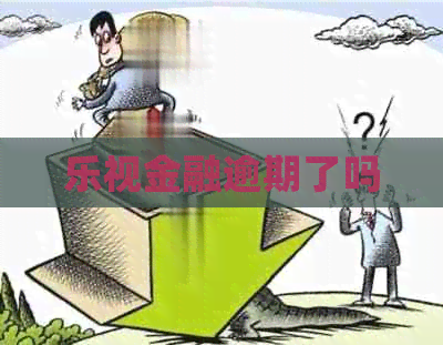 乐视金融逾期了吗