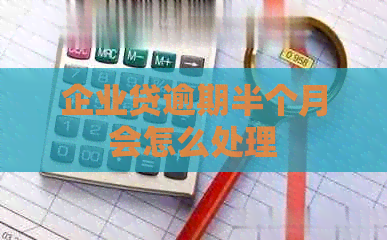 企业贷逾期半个月会怎么处理