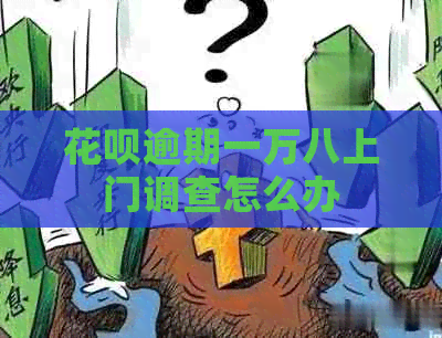 白条逾期一万八上门调查怎么办