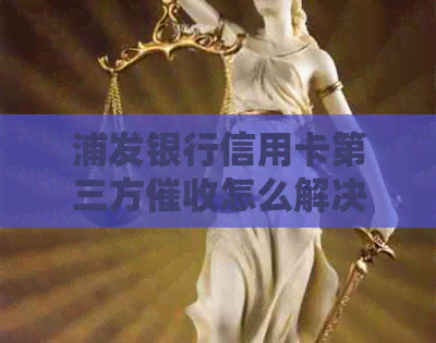 浦发银行信用卡第三方怎么解决