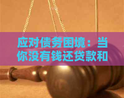 应对债务困境：当你没有钱还贷款和信用卡时的有效策略