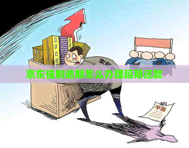 京东强制逾期怎么办理延期还款