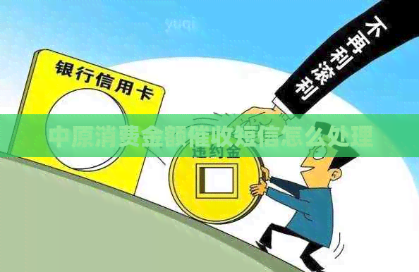 中原消费金额短信怎么处理