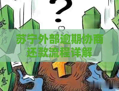 苏宁外部逾期协商还款流程详解